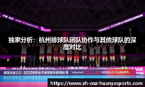独家分析：杭州排球队团队协作与其他球队的深度对比